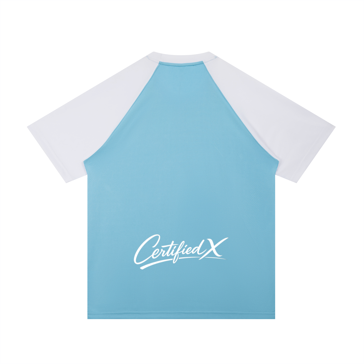 Contrast Raglan Sleeve Mesh T-Shirt