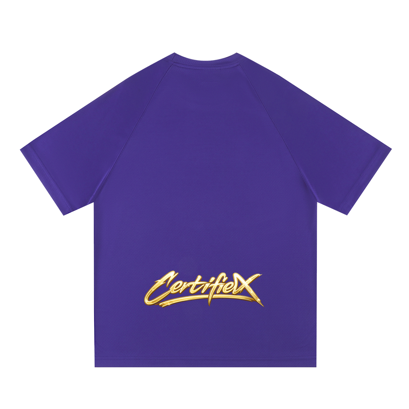 Raglan Sleeve Mesh T-Shirt
