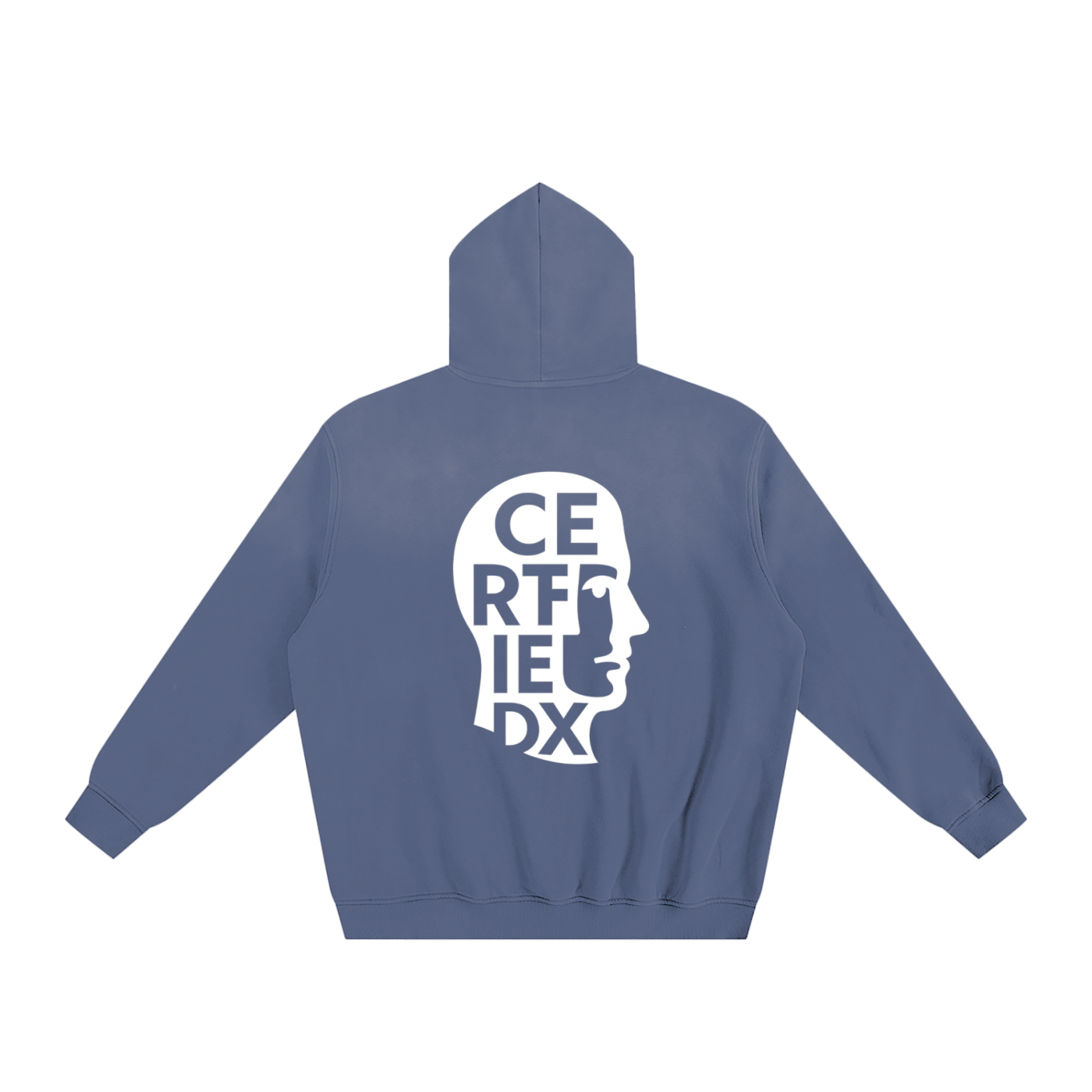 Sunfade Fleeced Hoodie