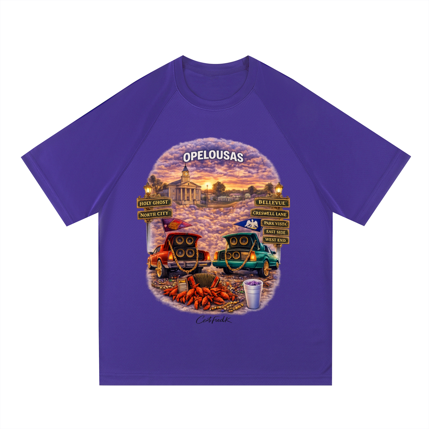 Raglan Sleeve Mesh T-Shirt