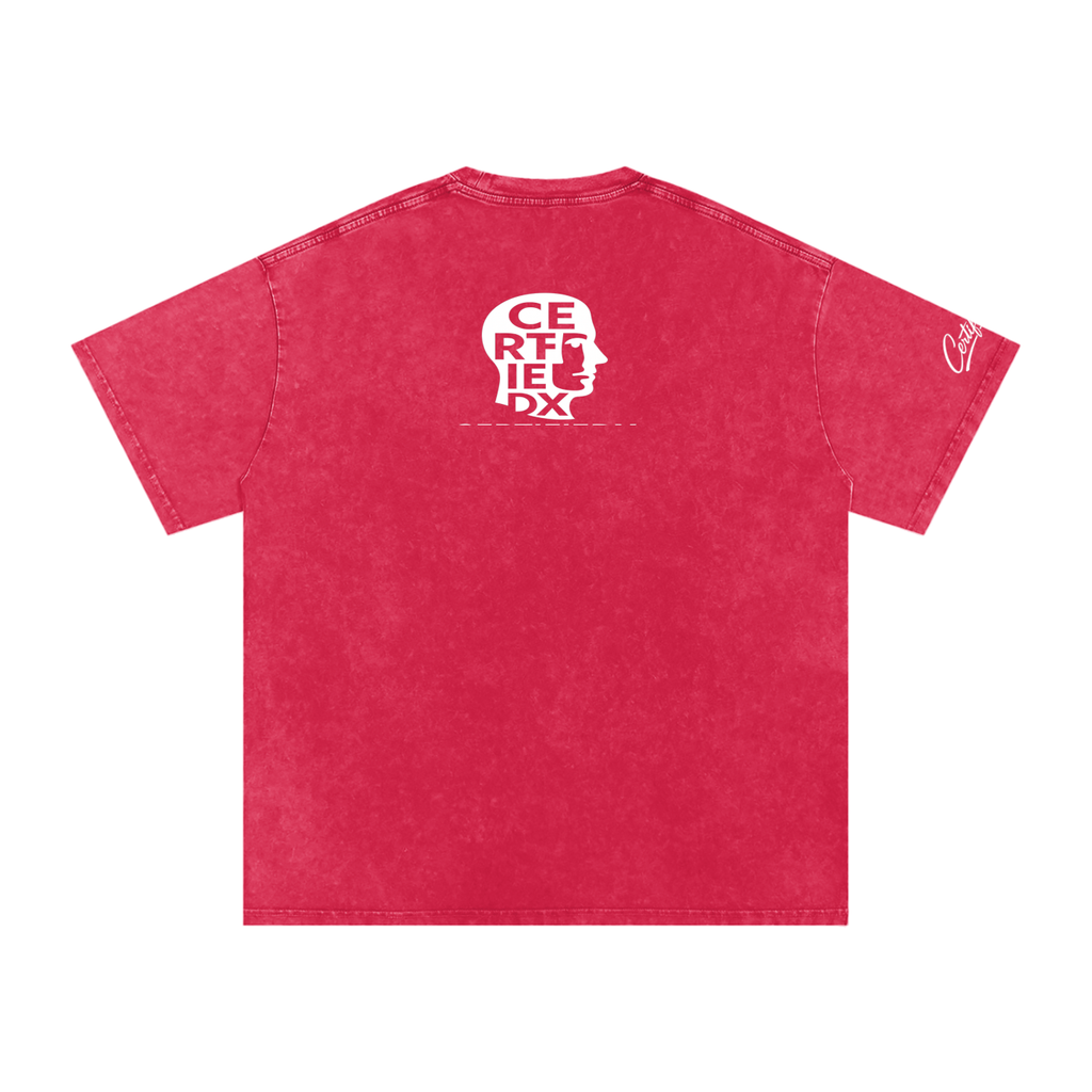 Snow Washed Oversized Cotton T-Shirt